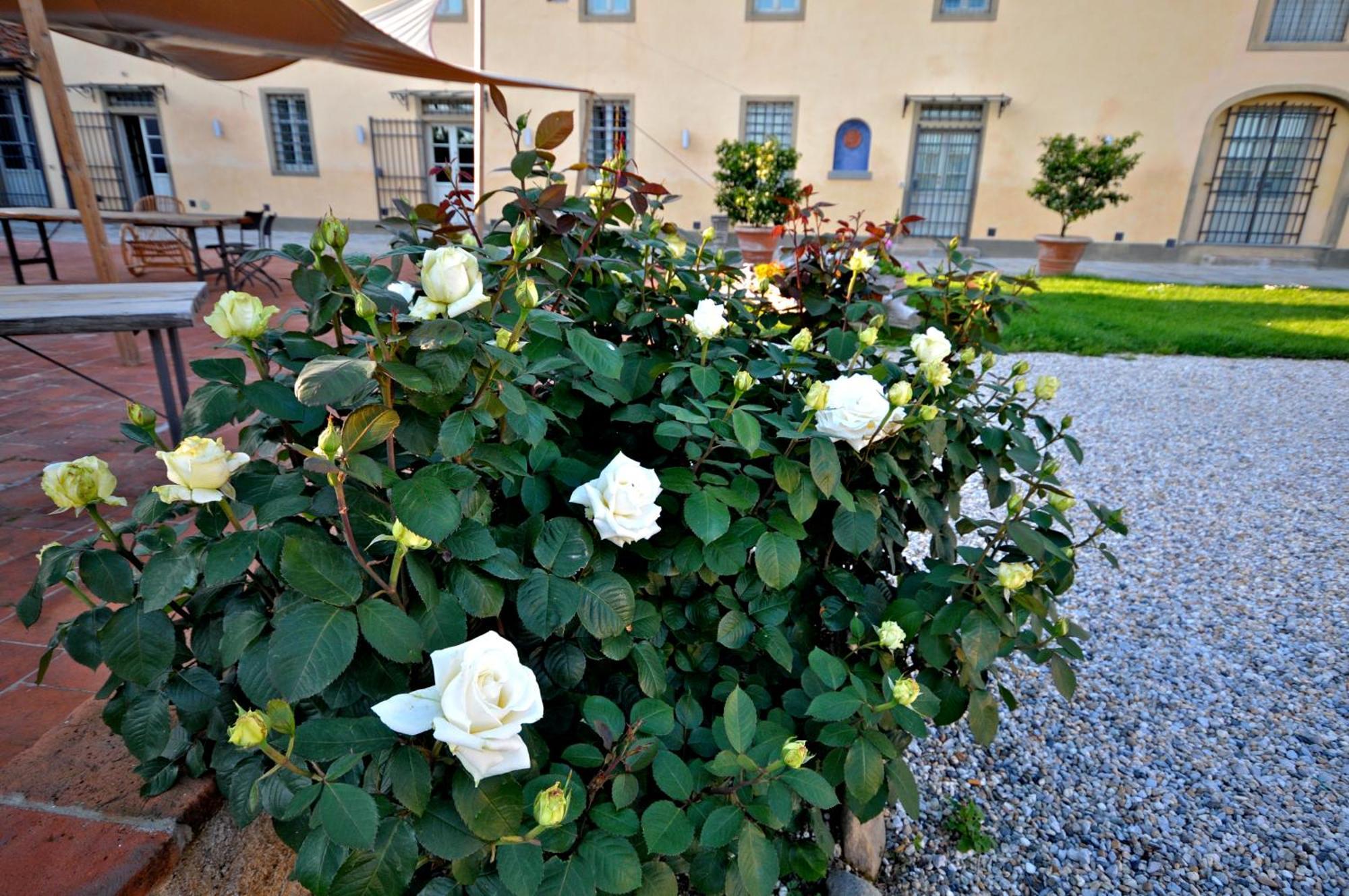 Bauernhof San Rocco Pistoia